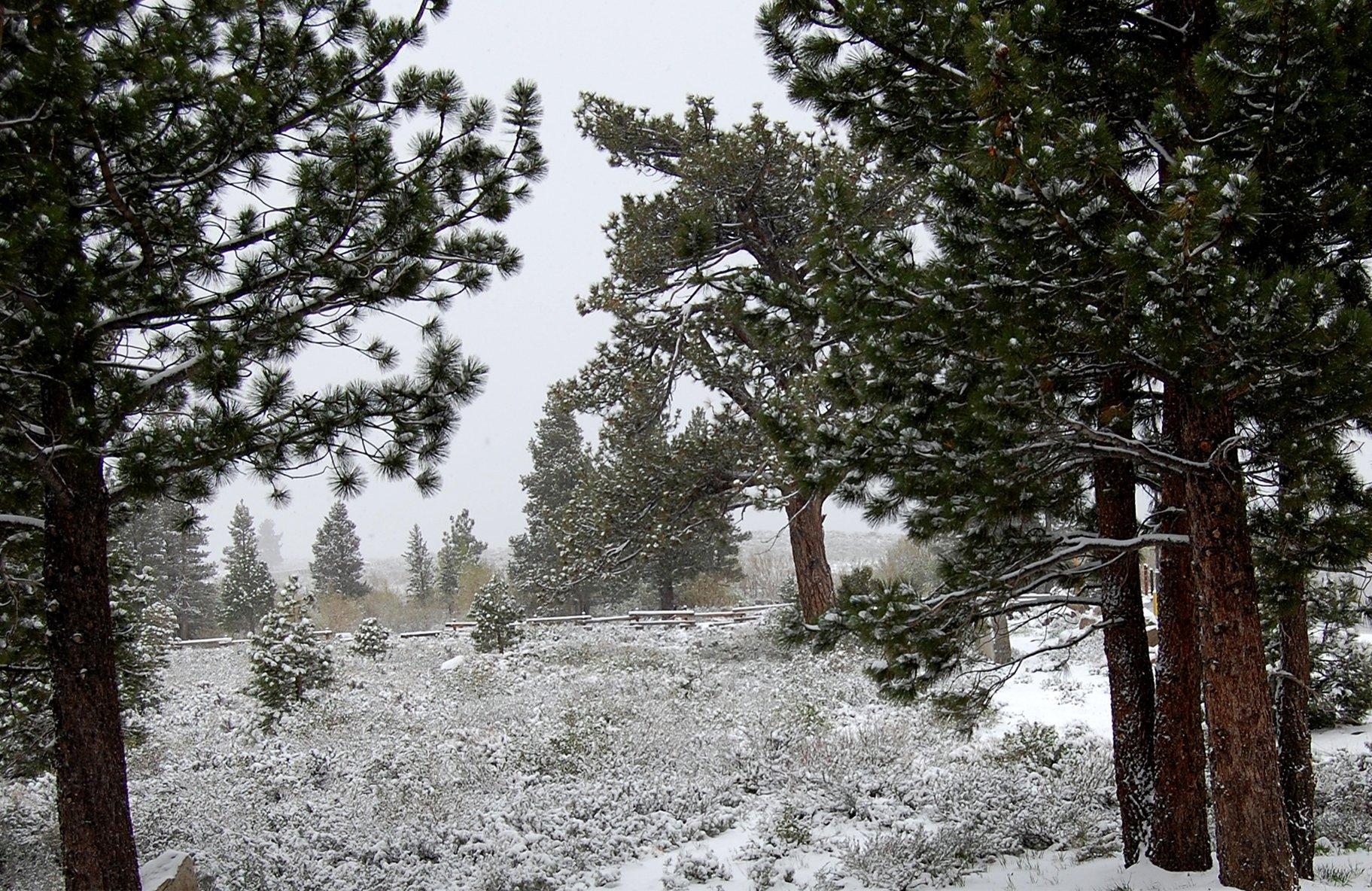 The Mammoth Creek Inn Mammoth Lakes Exteriör bild