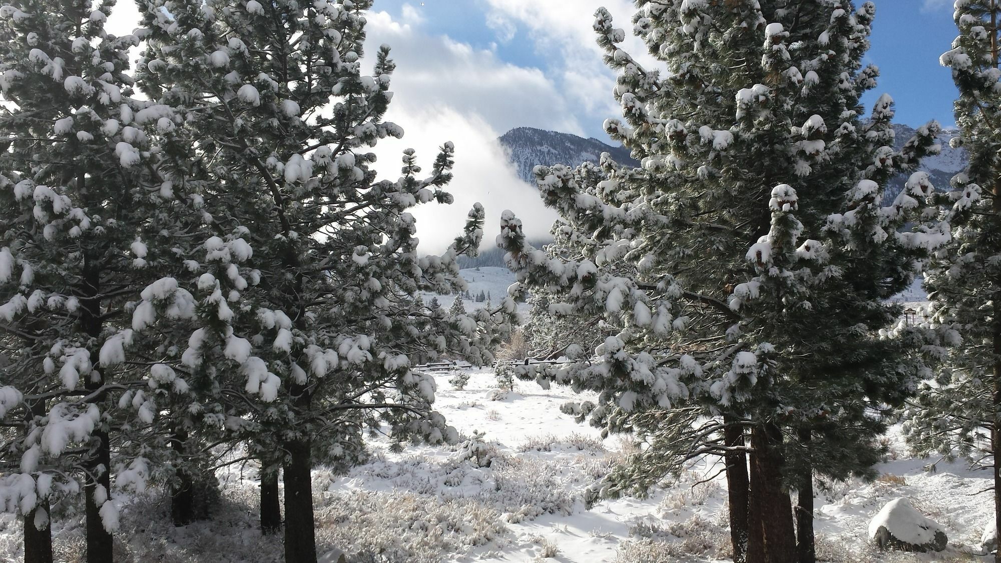 The Mammoth Creek Inn Mammoth Lakes Exteriör bild